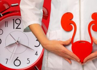 Vescica e rene: il flusso vitale dell’acqua nell’orologio universale