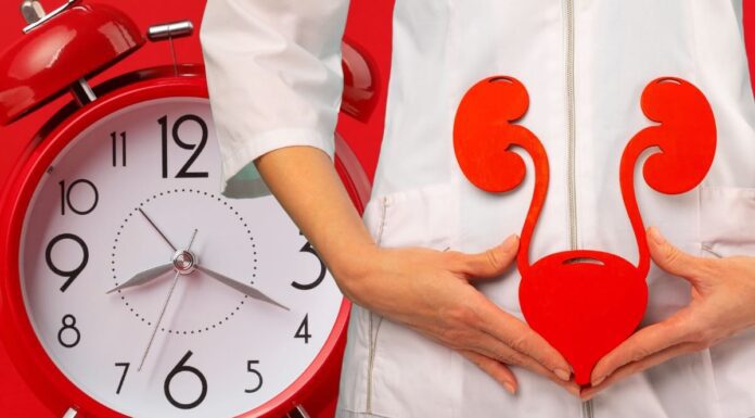 Vescica e rene: il flusso vitale dell’acqua nell’orologio universale