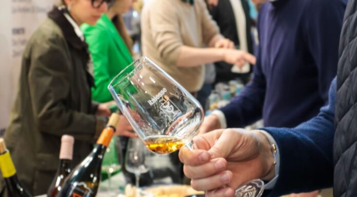 Amphora Revolution, la partnership prosegue