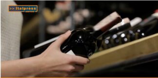 TG AGRIFOOD del 26 febbraio 2025 – Vinitaly torna a Bruxelles per la preview europea (video)