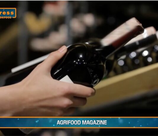 TG AGRIFOOD del 26 febbraio 2025 – Vinitaly torna a Bruxelles per la preview europea (video)
