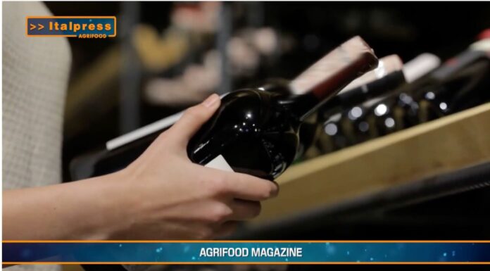TG AGRIFOOD del 26 febbraio 2025 – Vinitaly torna a Bruxelles per la preview europea (video)