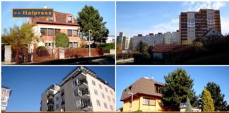 TG AMBIENTE del 23 marzo  2025 – Con “RiforestAzione” la natura torna protagonista in 13 città italiane (Video)