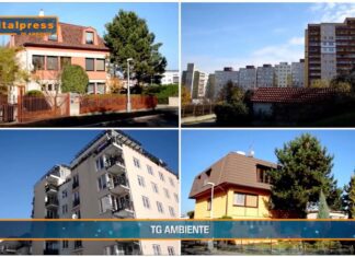 TG AMBIENTE del 23 marzo 2025 – Con “RiforestAzione” la natura torna protagonista in 13 città italiane (Video)