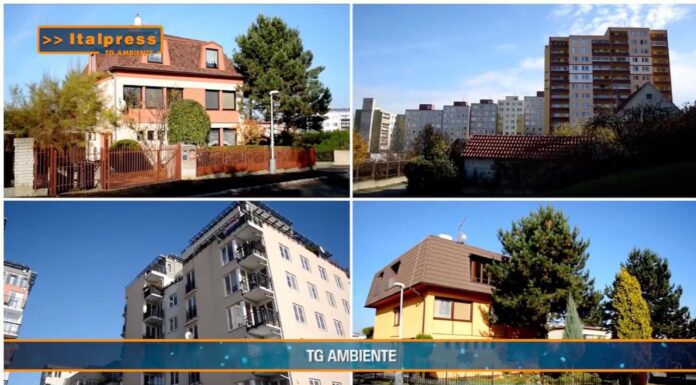 TG AMBIENTE del 23 marzo 2025 – Con “RiforestAzione” la natura torna protagonista in 13 città italiane (Video)