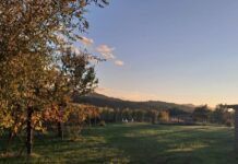 A Canossa, all’azienda Strada del Casalino il 28 aprile.