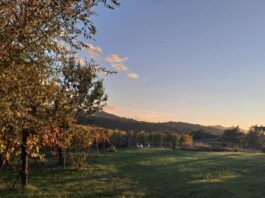 A Canossa, all’azienda Strada del Casalino il 28 aprile.