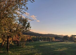 A Canossa, all’azienda Strada del Casalino il 28 aprile.