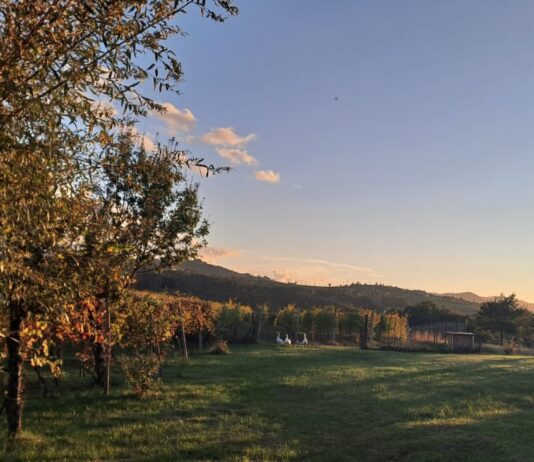 A Canossa, all’azienda Strada del Casalino il 28 aprile.