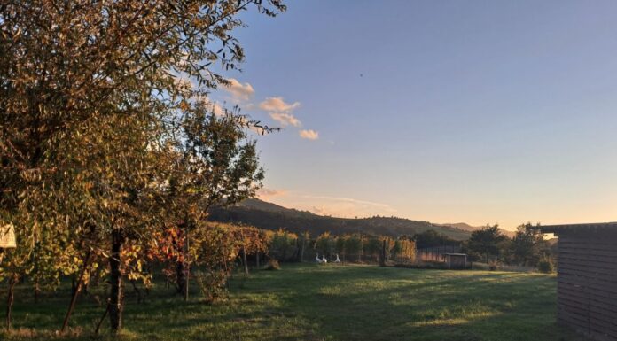 A Canossa, all’azienda Strada del Casalino il 28 aprile.