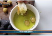TG AGRIFOOD del 14 MAGGIO 2025 — Consumi ed export di olio di oliva sopra le aspettative