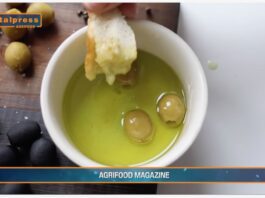 TG AGRIFOOD del 14 MAGGIO 2025 — Consumi ed export di olio di oliva sopra le aspettative