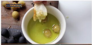 TG AGRIFOOD del 14 MAGGIO 2025 — Consumi ed export di olio di oliva sopra le aspettative