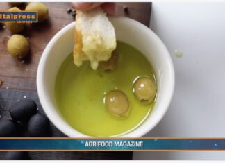 TG AGRIFOOD del 14 MAGGIO 2025 — Consumi ed export di olio di oliva sopra le aspettative