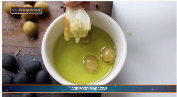 TG AGRIFOOD del 14 MAGGIO 2025 — Consumi ed export di olio di oliva sopra le aspettative