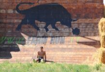 10 anni di FARM RUN – Il 12 luglio a Noceto per festeggiare il decennale.