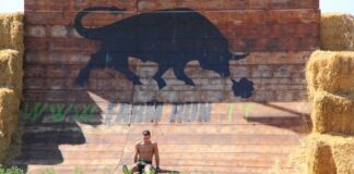 10 anni di FARM RUN – Il 12 luglio a Noceto per festeggiare il decennale.