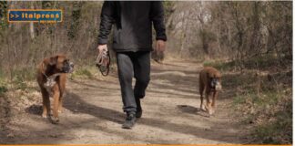 Padroni e cani come genitori e figli (video)
