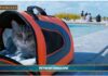 PetNews Magazine. – Viaggi in aereo, diventa più facile portare gli animali in cabina (video)