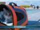 PetNews Magazine. – Viaggi in aereo, diventa più facile portare gli animali in cabina (video)