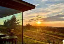 Bollicine, Sapori e Convivialità immersi nella natura