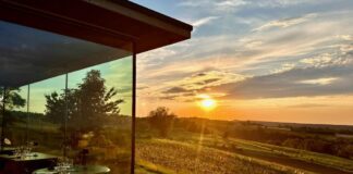 Bollicine, Sapori e Convivialità immersi nella natura