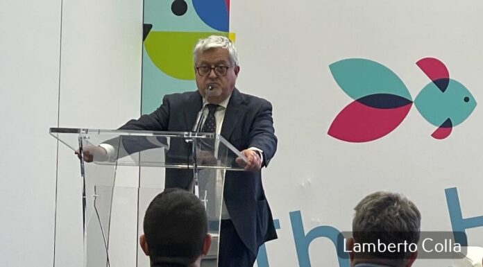 Zoomark 2025. L’evento dei record.