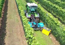 Nobili spa DM 5010 a Enovitis 2025: ottimale per il diserbo meccanico interfilare.