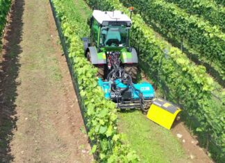 Nobili spa DM 5010 a Enovitis 2025: ottimale per il diserbo meccanico interfilare.