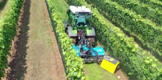 Nobili in campo a Enovitis 2025