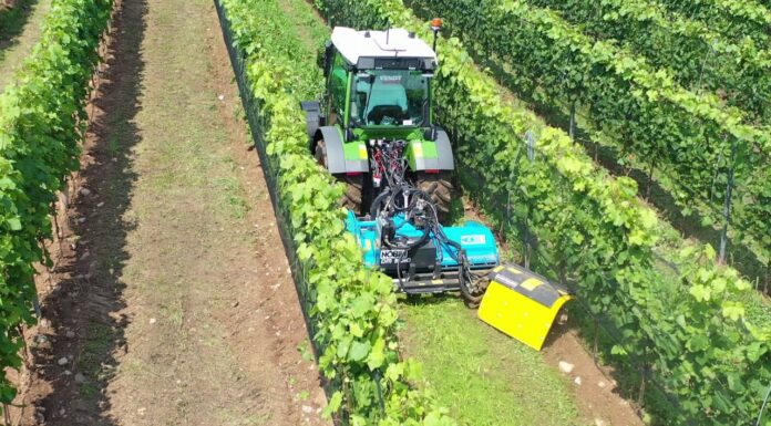 Nobili in campo a Enovitis 2025