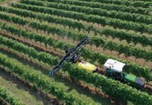 18 e 19 giugno Enovitis in Campo. Nobili spa: Presente!