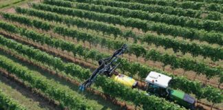 18 e 19 giugno Enovitis in Campo. Nobili spa: Presente!