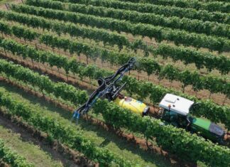 18 e 19 giugno Enovitis in Campo. Nobili spa: Presente!