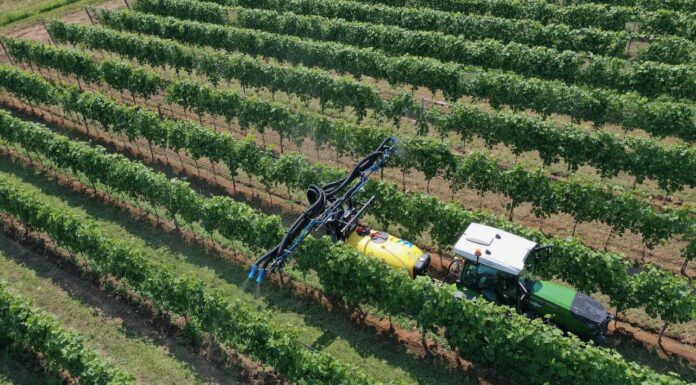 18 e 19 giugno Enovitis in Campo. Nobili spa: Presente!