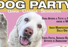 DOG PARTY SOS – gara canina semiseria – 15 giugno. L’importante è divertirsi.