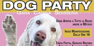 DOG PARTY SOS – gara canina semiseria – 15 giugno. L’importante è divertirsi.