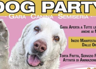 DOG PARTY SOS – gara canina semiseria – 15 giugno. L’importante è divertirsi.