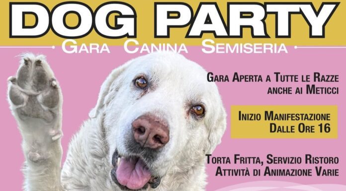 DOG PARTY SOS – gara canina semiseria – 15 giugno. L’importante è divertirsi.