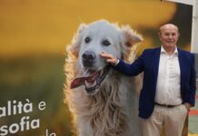 Mister Pet, l’eccellenza per il pet food nel cuore della Food Valley