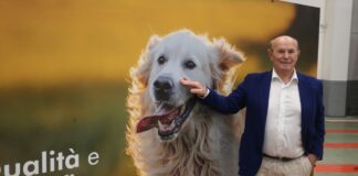Mister Pet, l’eccellenza per il pet food nel cuore della Food Valley
