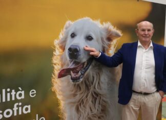 Mister Pet, l’eccellenza per il pet food nel cuore della Food Valley