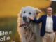 Mister Pet, l’eccellenza per il pet food nel cuore della Food Valley