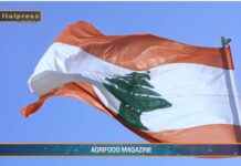 TG AGRIFOOD del 4 giugno 2025 — Roma-Beirut, un tavolo tecnico per l’agricoltura … (video)