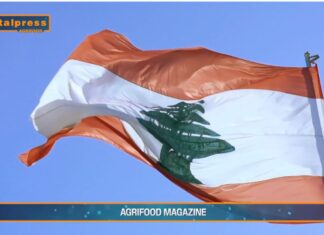 TG AGRIFOOD del 4 giugno 2025 — Roma-Beirut, un tavolo tecnico per l’agricoltura … (video)