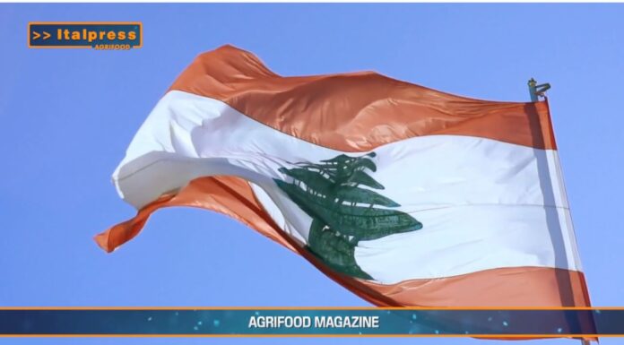 TG AGRIFOOD del 4 giugno 2025 — Roma-Beirut, un tavolo tecnico per l’agricoltura … (video)