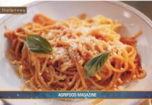 TG News – La pasta proteica conquista gli italiani (video)