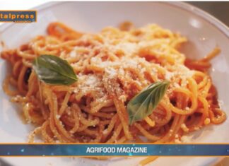 TG News – La pasta proteica conquista gli italiani (video)