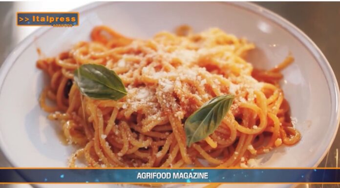 TG News – La pasta proteica conquista gli italiani (video)