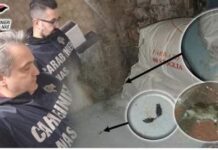 Cambia tutto, è reato tenere i cibi guasti nel magazzino del locale.